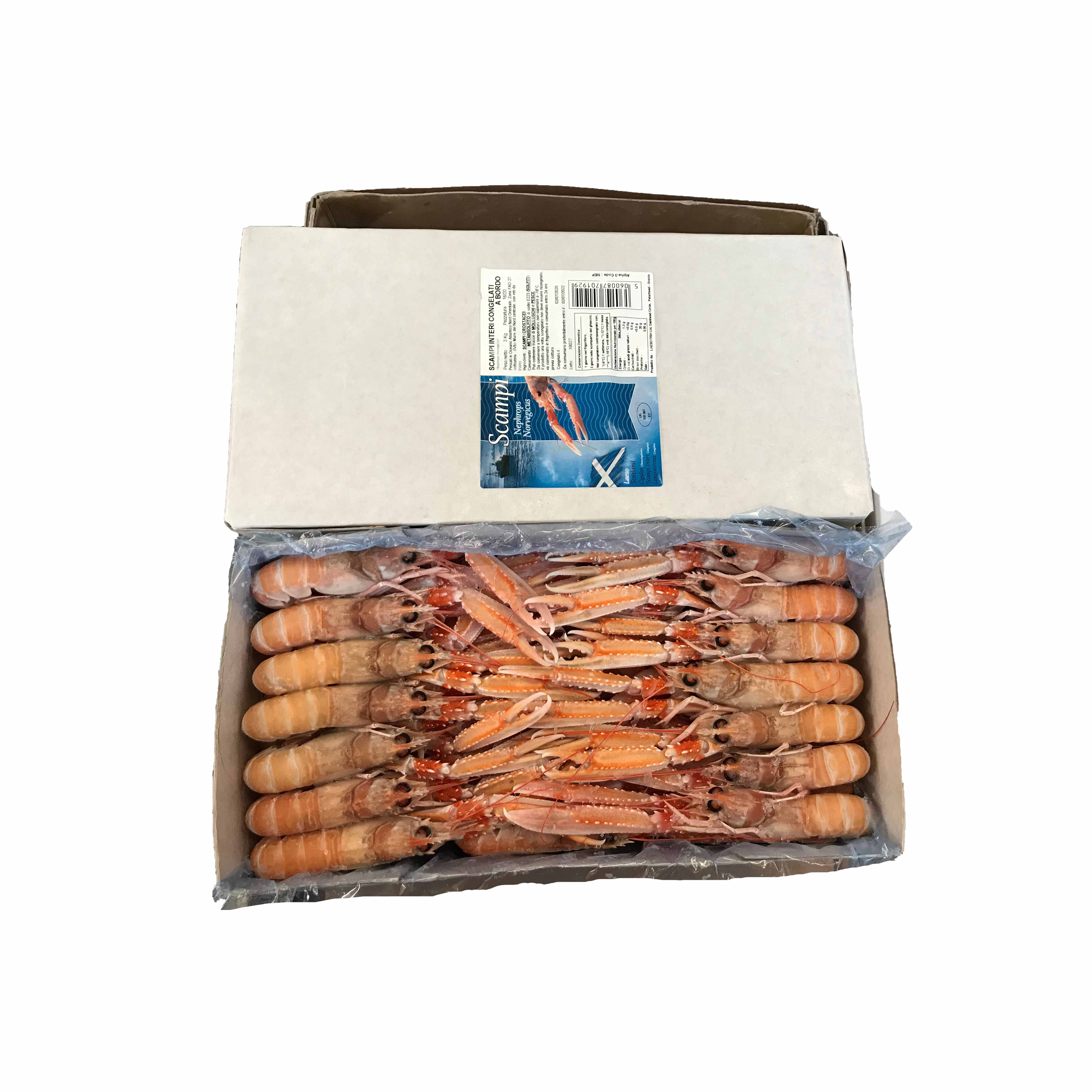 SCAMPI INTERI 16/20 CONG.3KGX3PZ 生吃海螯虾